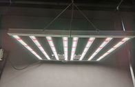 600w que el LED interior crece la planta interior ligera crecen las luces AC85 - voltaje entrado 265V