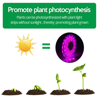 Estripas de plantas de espectro completo Iluminación interior impermeable LED Estripas de luz de crecimiento