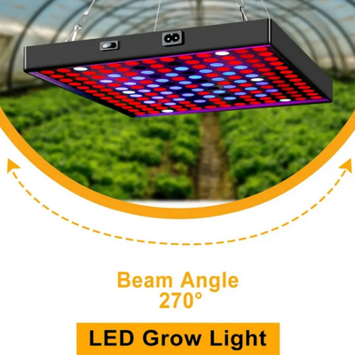 Luz de cultivo de plantas de espectro completo LED 50w 80W Luz roja azul para invernadero