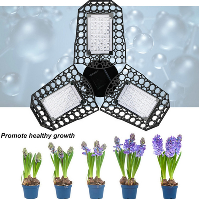 Lámparas de crecimiento de diseño plegado LED Espectro rojo azul para la planta de interior de la casa de invernadero Promover el crecimiento de las plantas