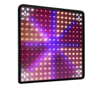 Modelo económico Lámpara de crecimiento de plantas de espectro completo Luz roja azul para iluminación de invernaderos