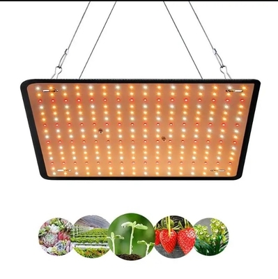 Modelo económico Lámpara de crecimiento de plantas de espectro completo Luz roja azul para iluminación de invernaderos